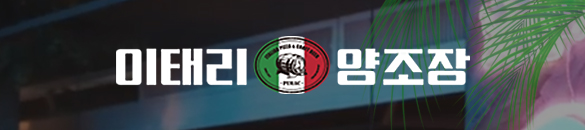 ¸